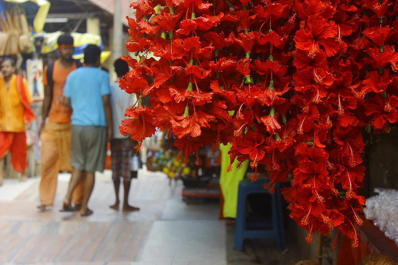 Maa Kamakhya Temple, where Yoni (genitals) Of Maa Sati Is Held To Have Fallen
