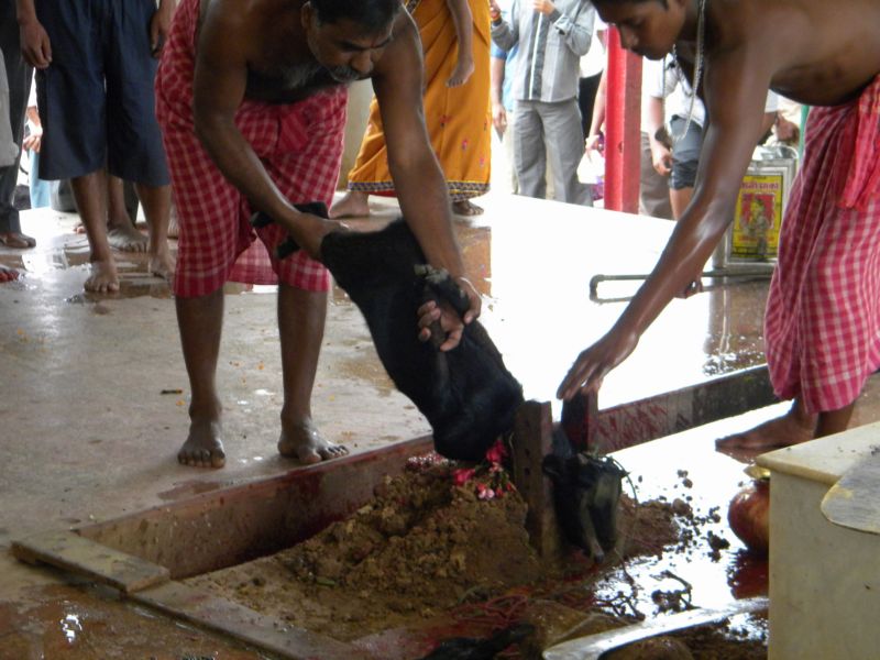 Tripura Sundari Temple, where Right leg Of Maa Sati Is Held To Have Fallen