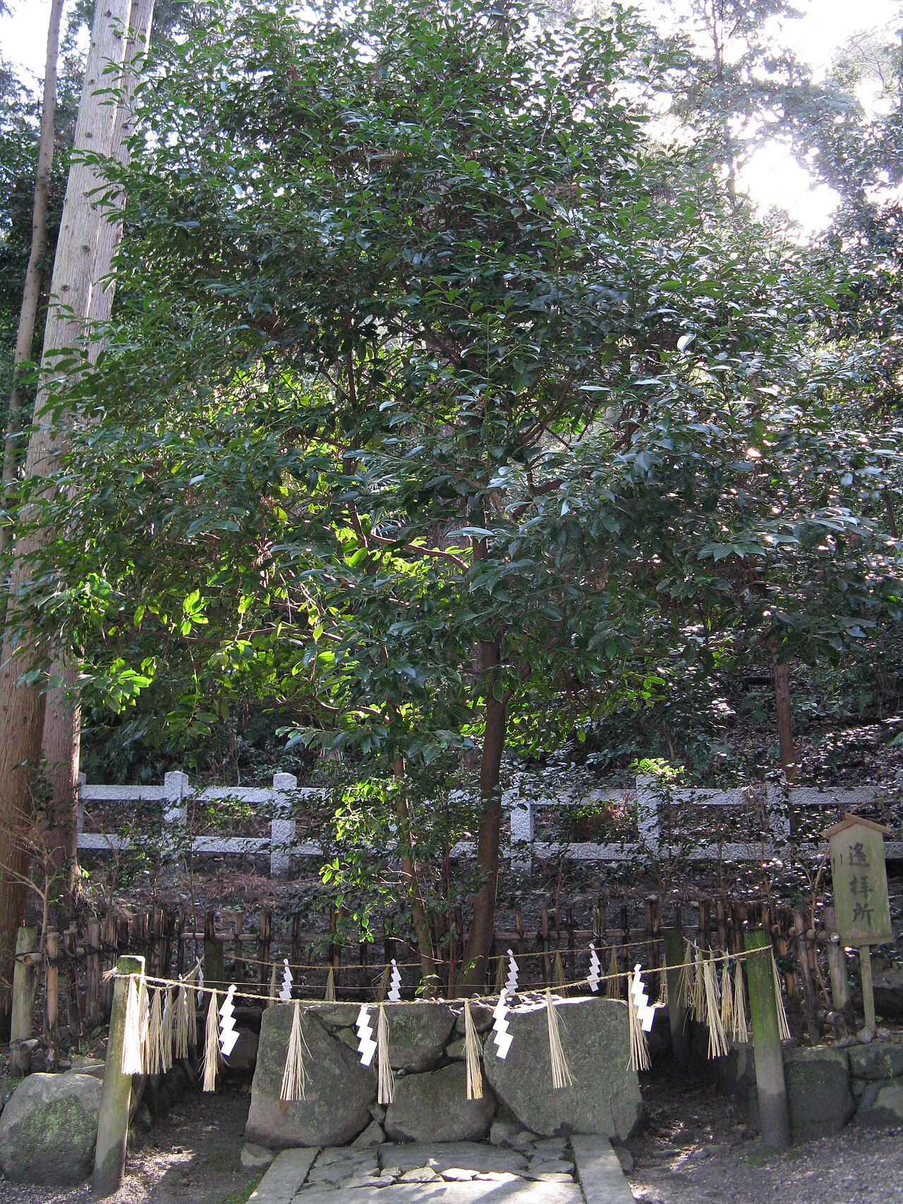 Hiraoka Shrine — image 3