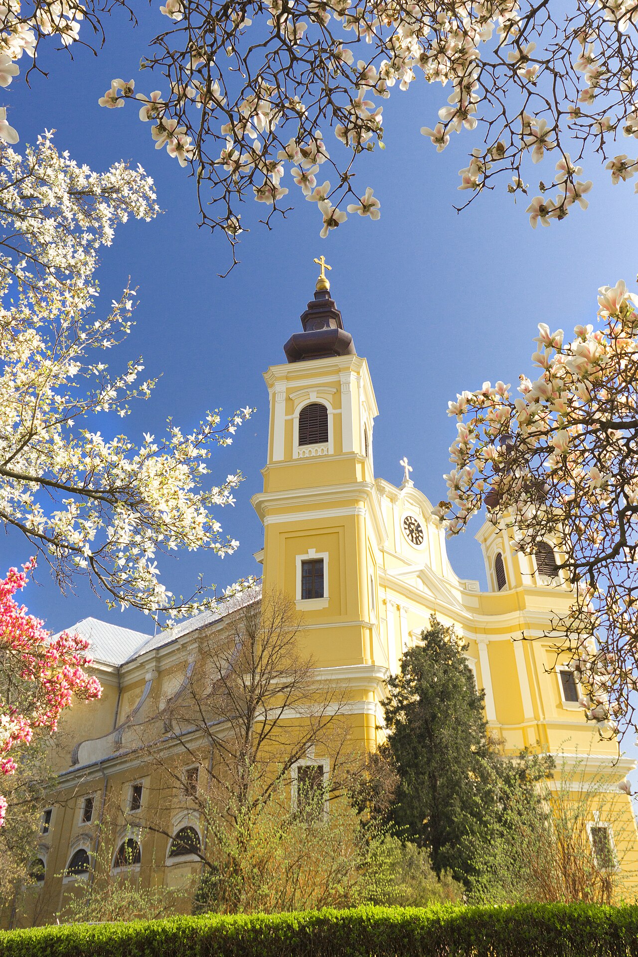 Cathedral Basilica of St. Mary — image 4