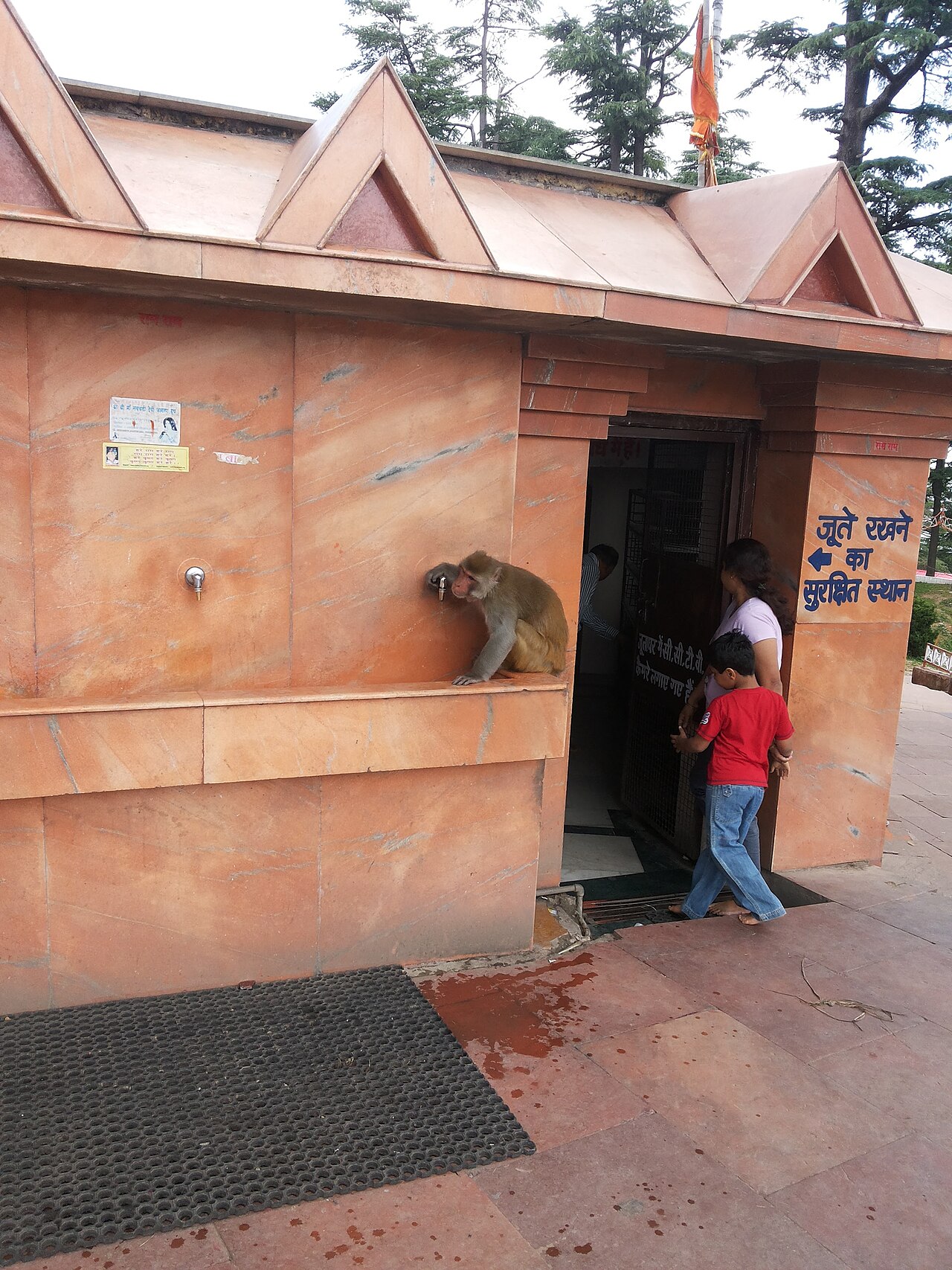 Jakhu Temple — image 3
