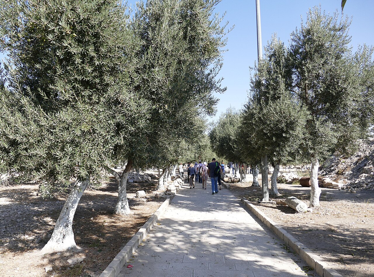 Temple Mount — image 3