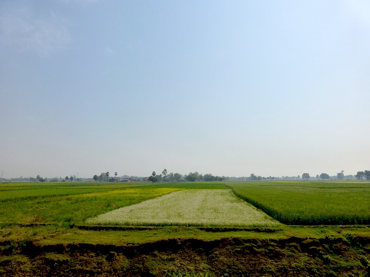 Kesaria — image 5