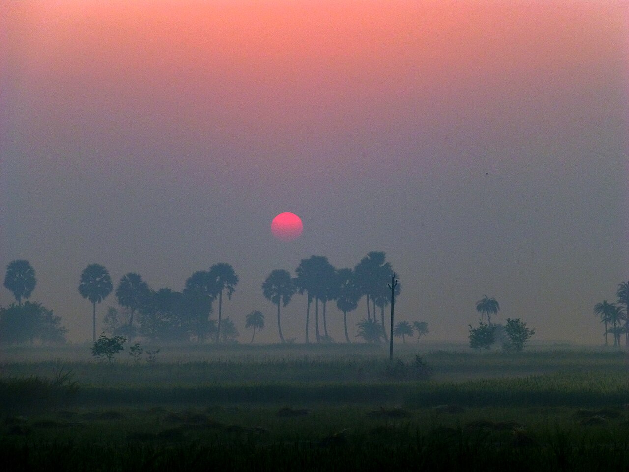 Kesaria — image 4