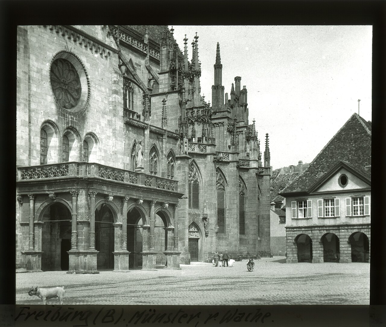 Freiburg Minster — image 2