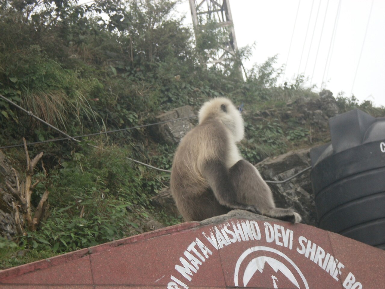 Vaishno Devi Temple, where Skull/Right arm Of Maa Sati Is Held To Have Fallen
