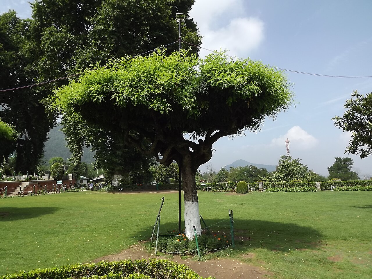 Amarnath Temple — image 3