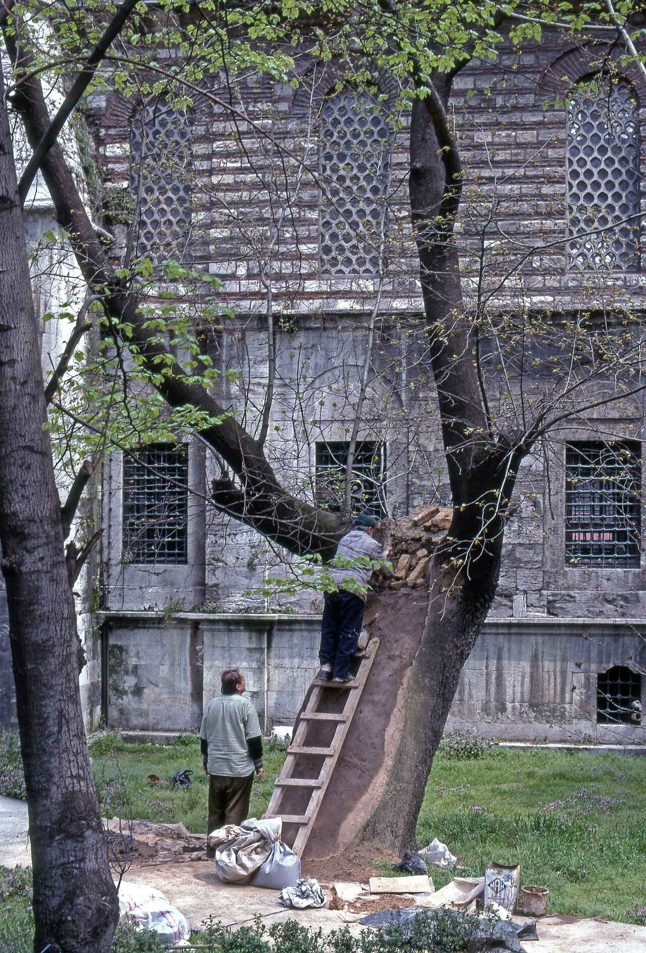 Molla Gürani Mosque — image 4