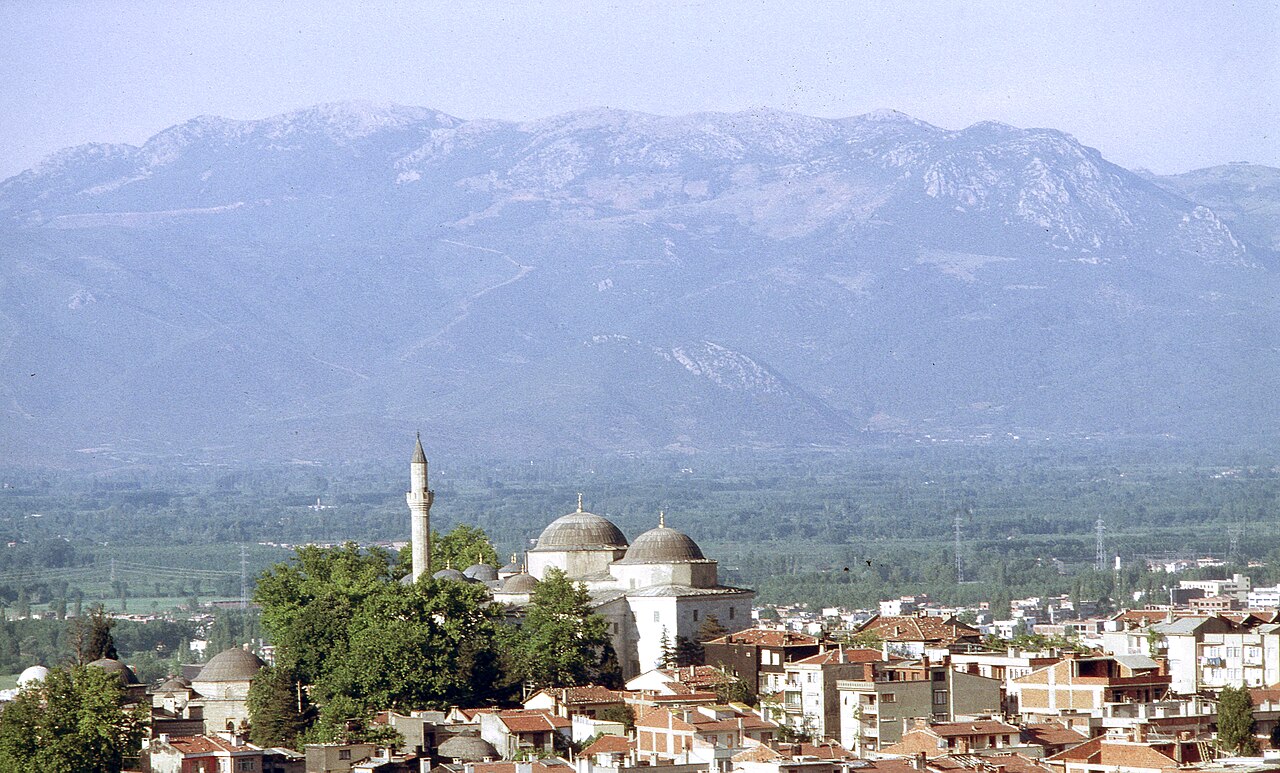Bayezid I Mosque — image 1
