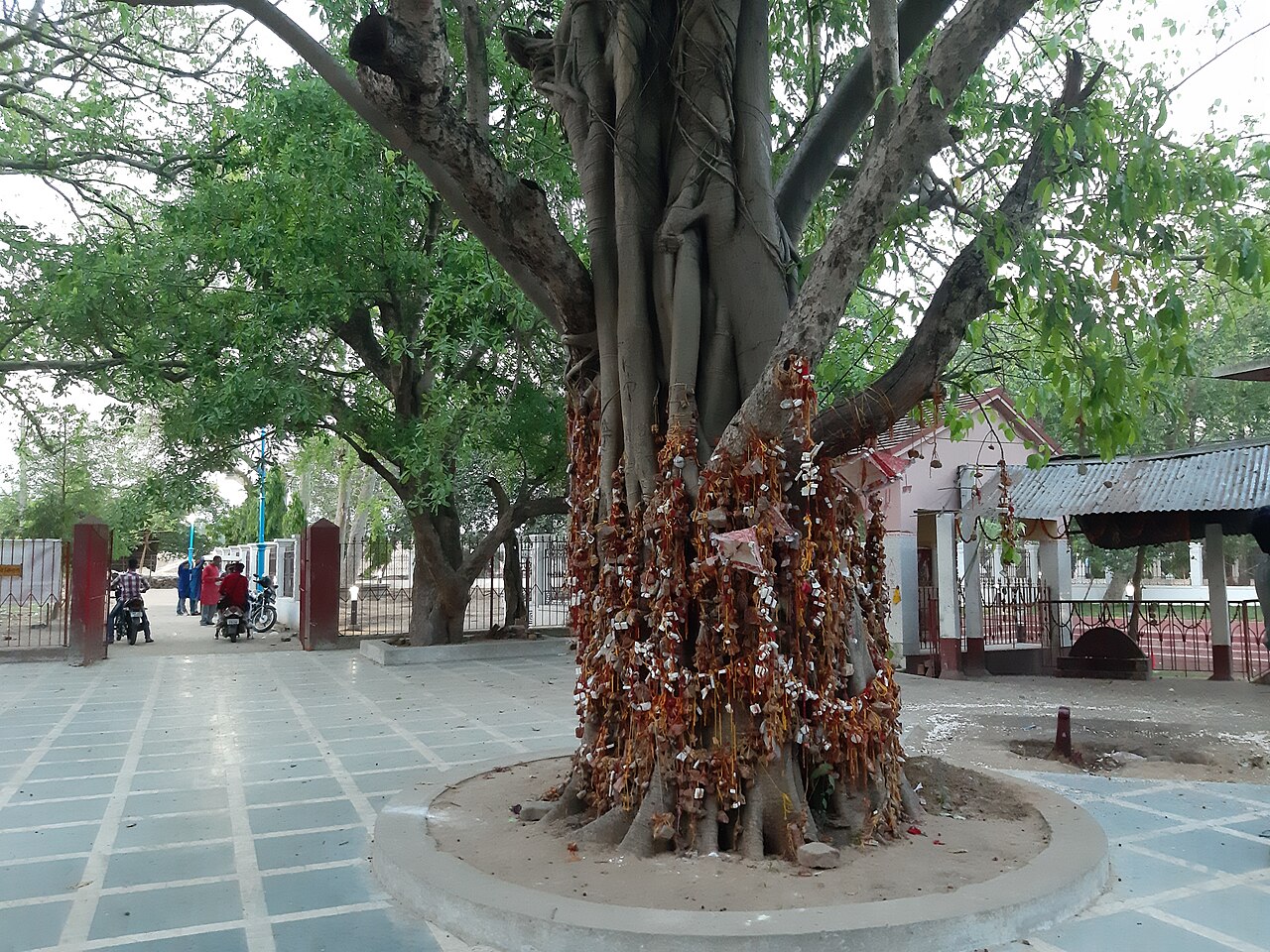 Maa Devgarbha Temple