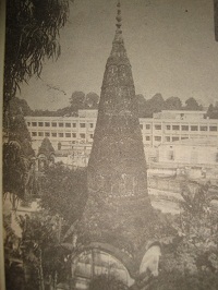 Joy Kali Temple — image 2