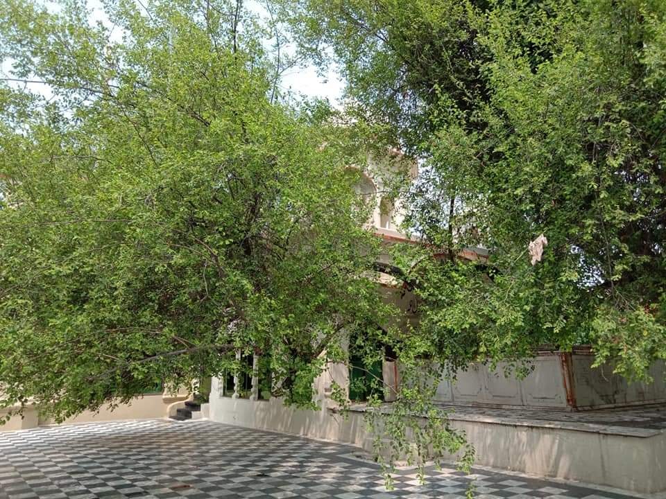 Gurdwara Beri Sahib — image 4