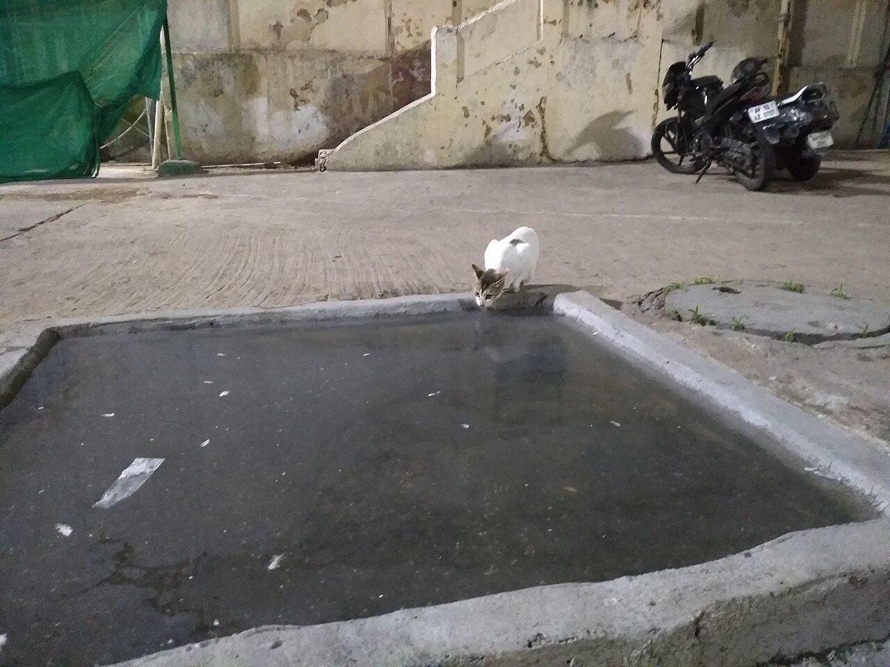 Mecca Masjid — image 2