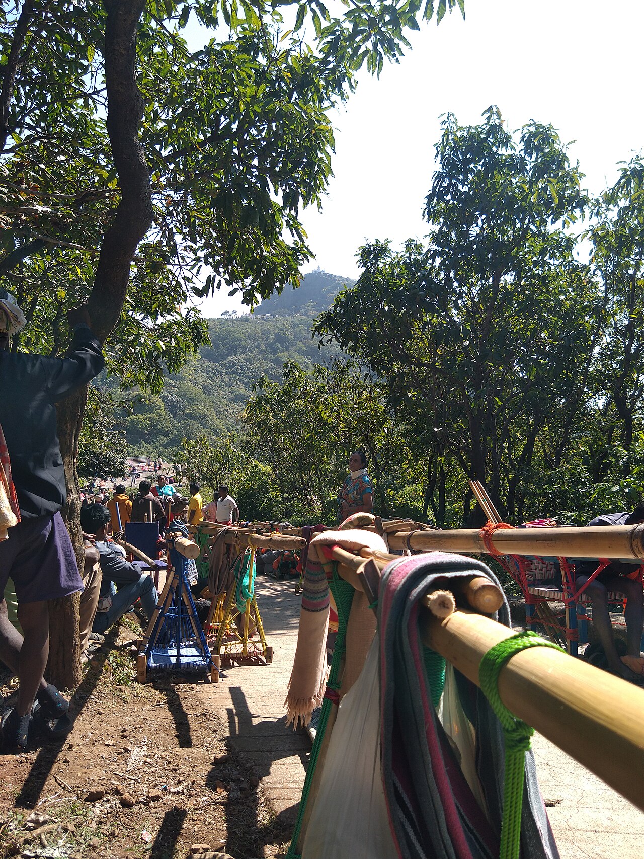 Shikharji — image 5