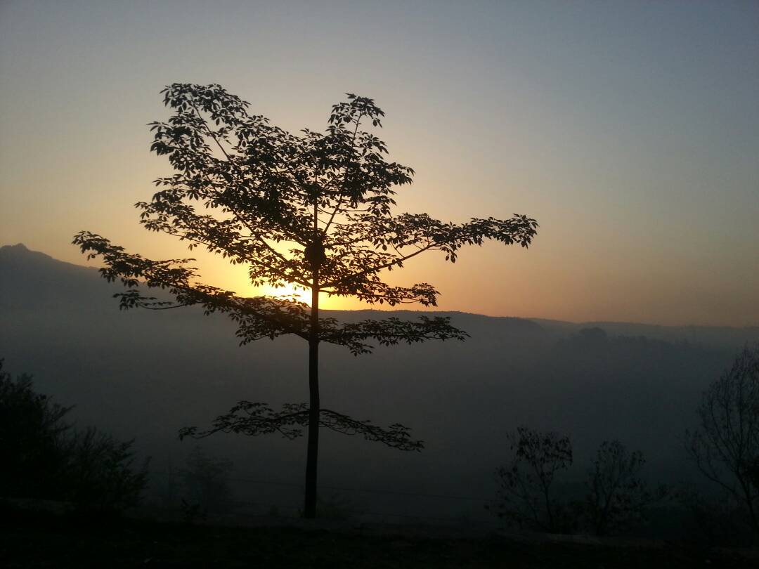 Vaishno Devi Temple — image 2