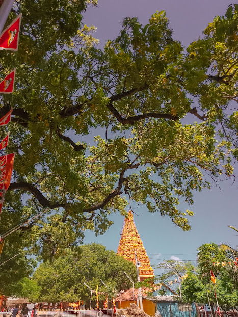 Nainativu Nagapooshani Amman Temple — image 5